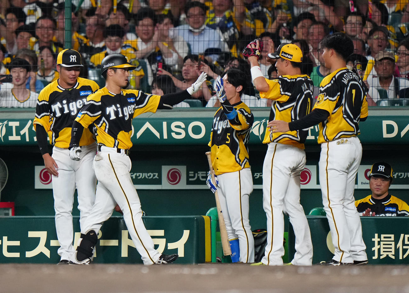 阪神対巨人　7回裏阪神1死満塁、犠飛を放ち、チームメートとタッチを交わす坂本（左から2人目）（撮影・江口和貴）