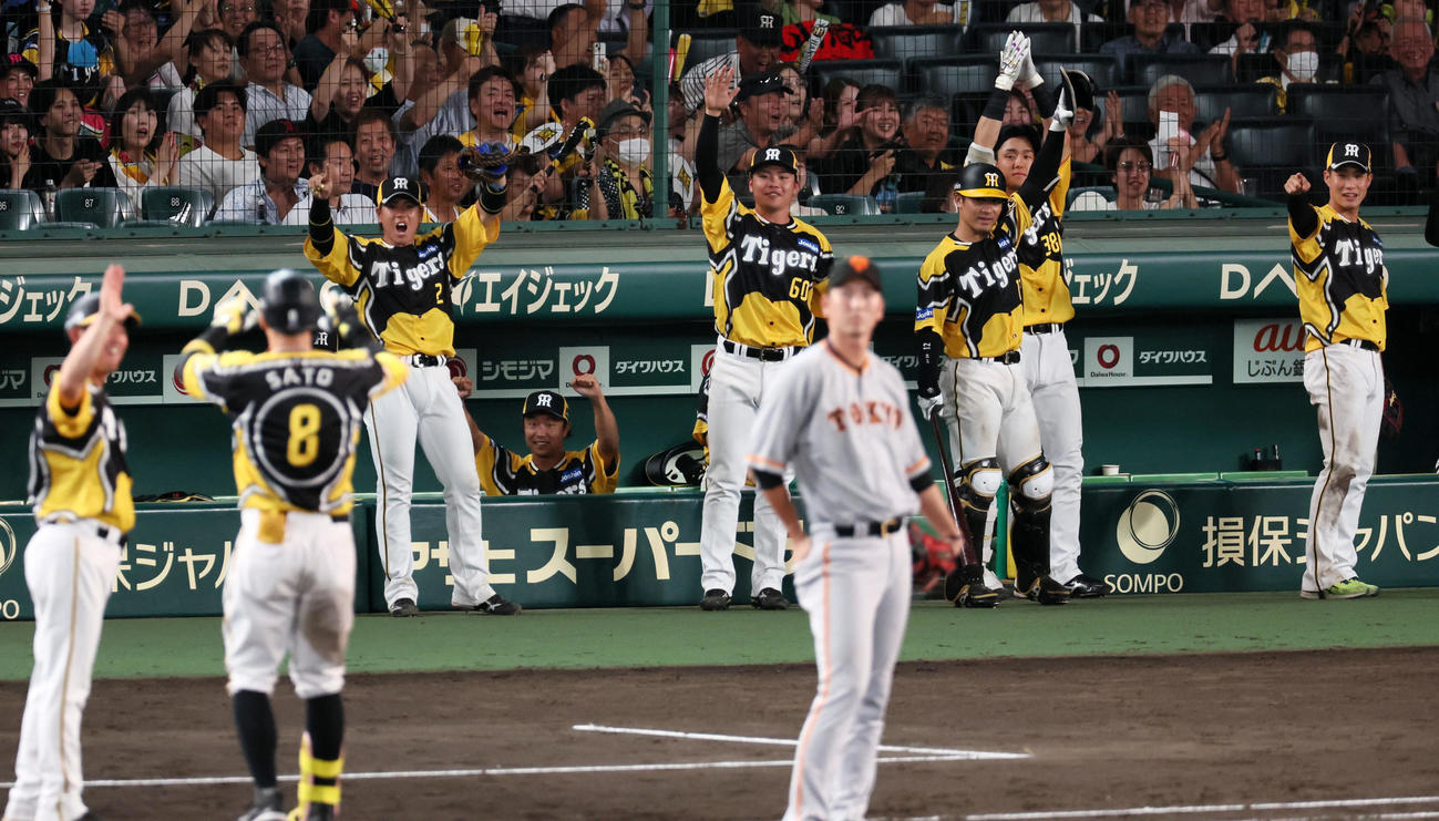 阪神対巨人　7回裏阪神1死一、二塁、佐藤輝の左適時打に笑顔を見せるベンチのナイン（撮影・加藤哉）