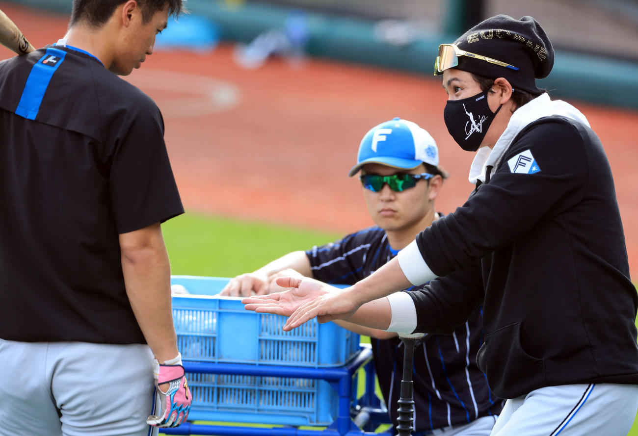 楽天対日本ハム　日本ハム加藤豪（左）に打撃指導する新庄監督（撮影・浅見桂子）