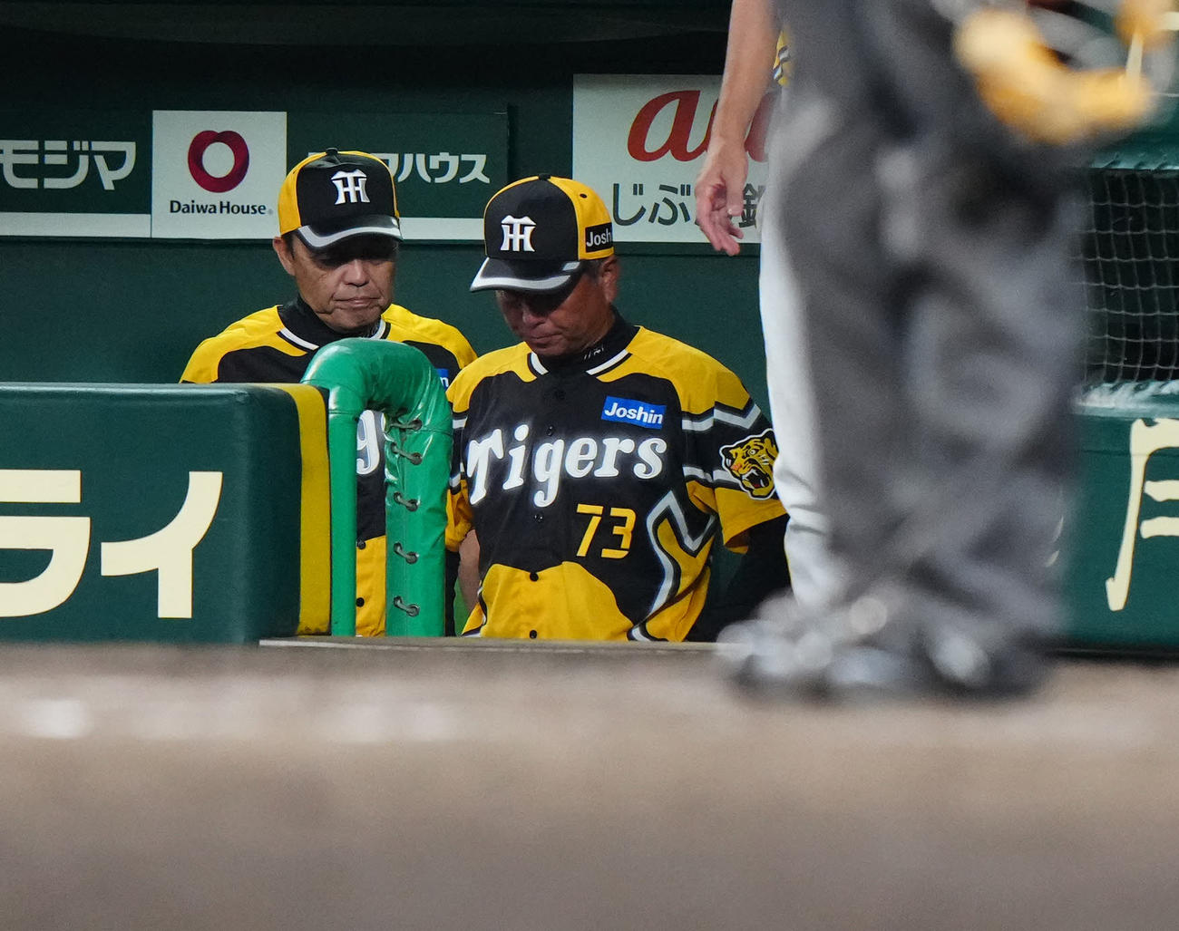 阪神対巨人　巨人に敗れ、ベンチから引き揚げる阪神岡田監督（左）（撮影・江口和貴）