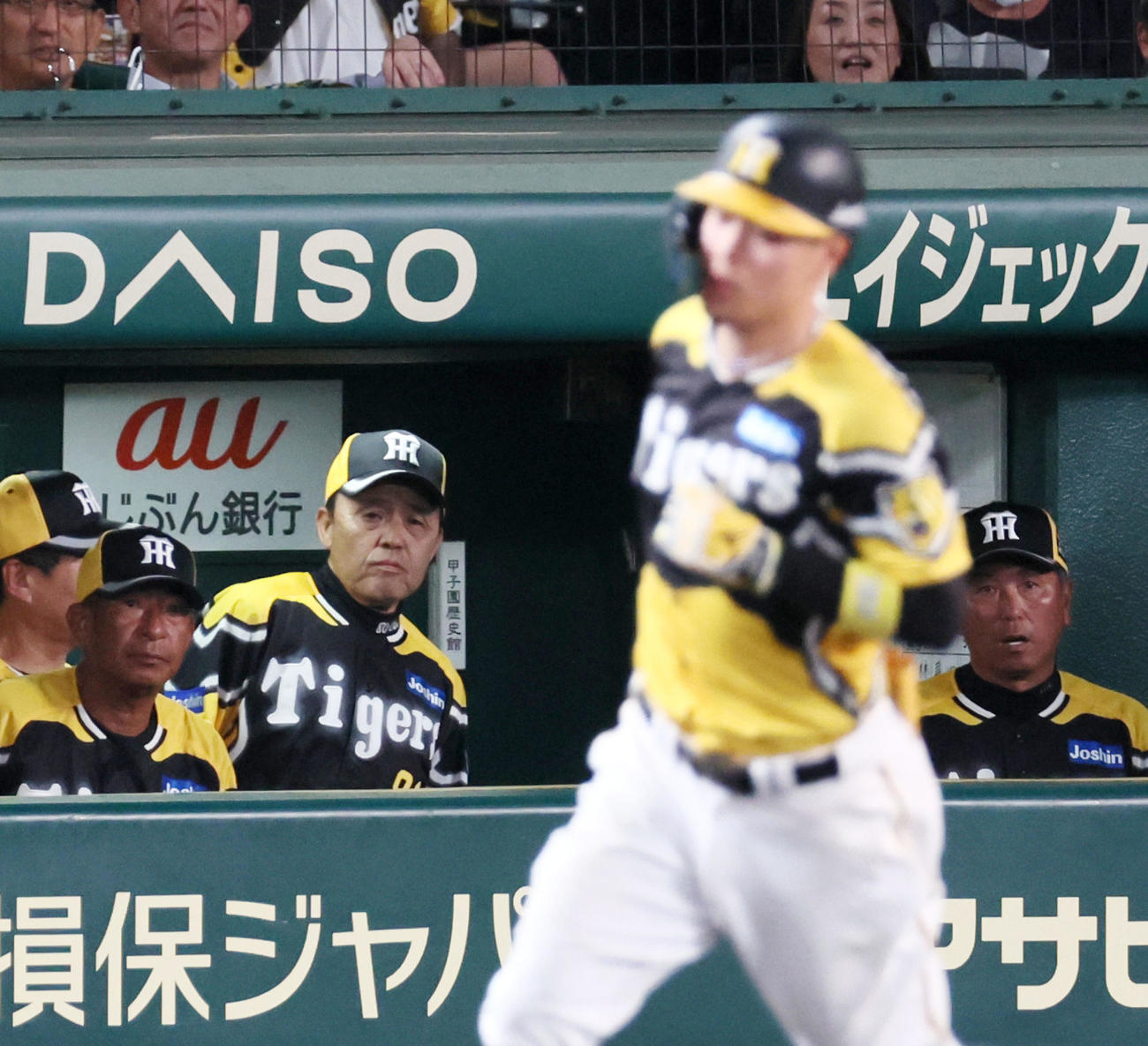 阪神対巨人　8回裏阪神無死、ベンチから佐藤輝は中越えソロ本塁打を見守る岡田監督（撮影・加藤哉）