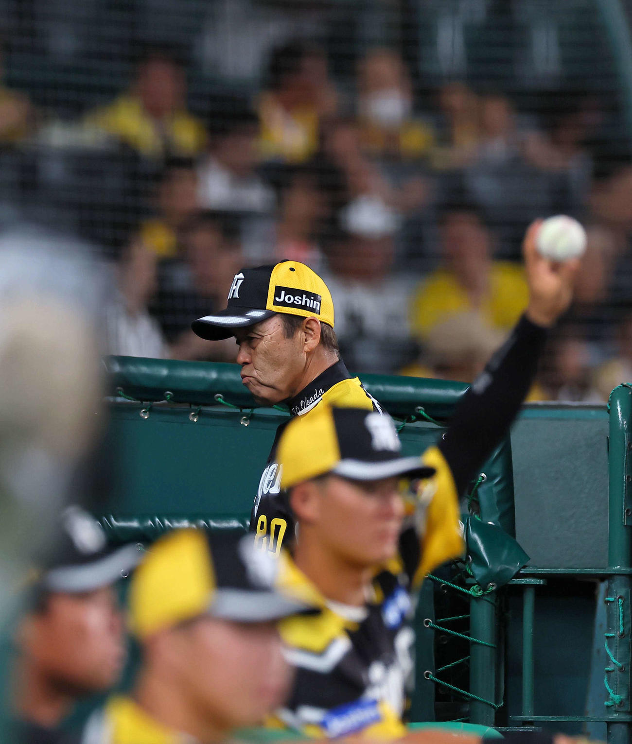 阪神対巨人　選手交代を告げベンチに引き揚げる岡田監督（撮影・上田博志）