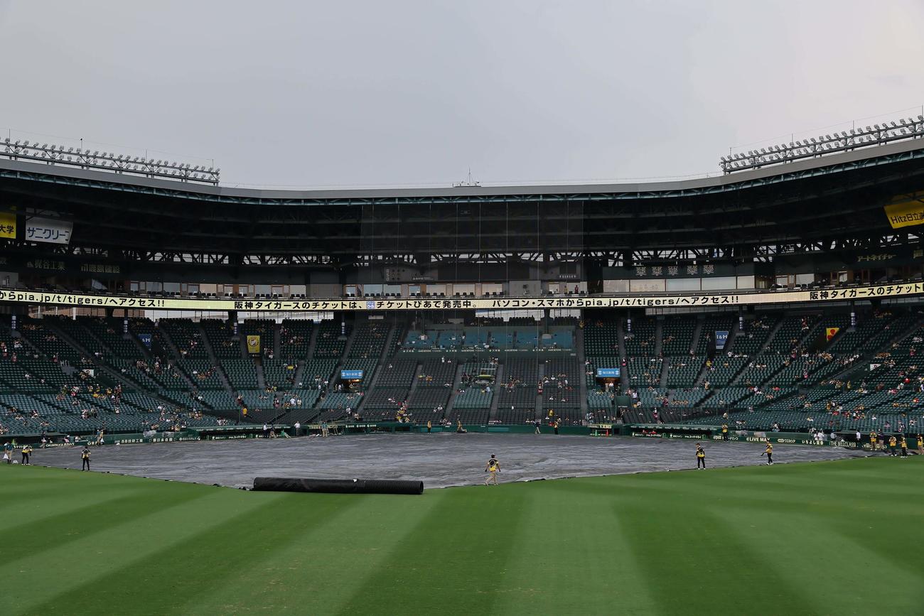 阪神対巨人　雨予報の甲子園球場にシートが掛けられた（撮影・上田博志）
