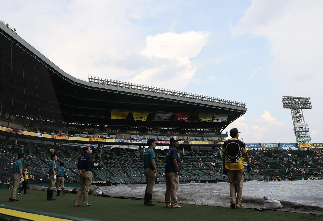 阪神対広島　試合前、雨が予想されグラウンドにシートがかけられた甲子園（撮影・上山淳一）