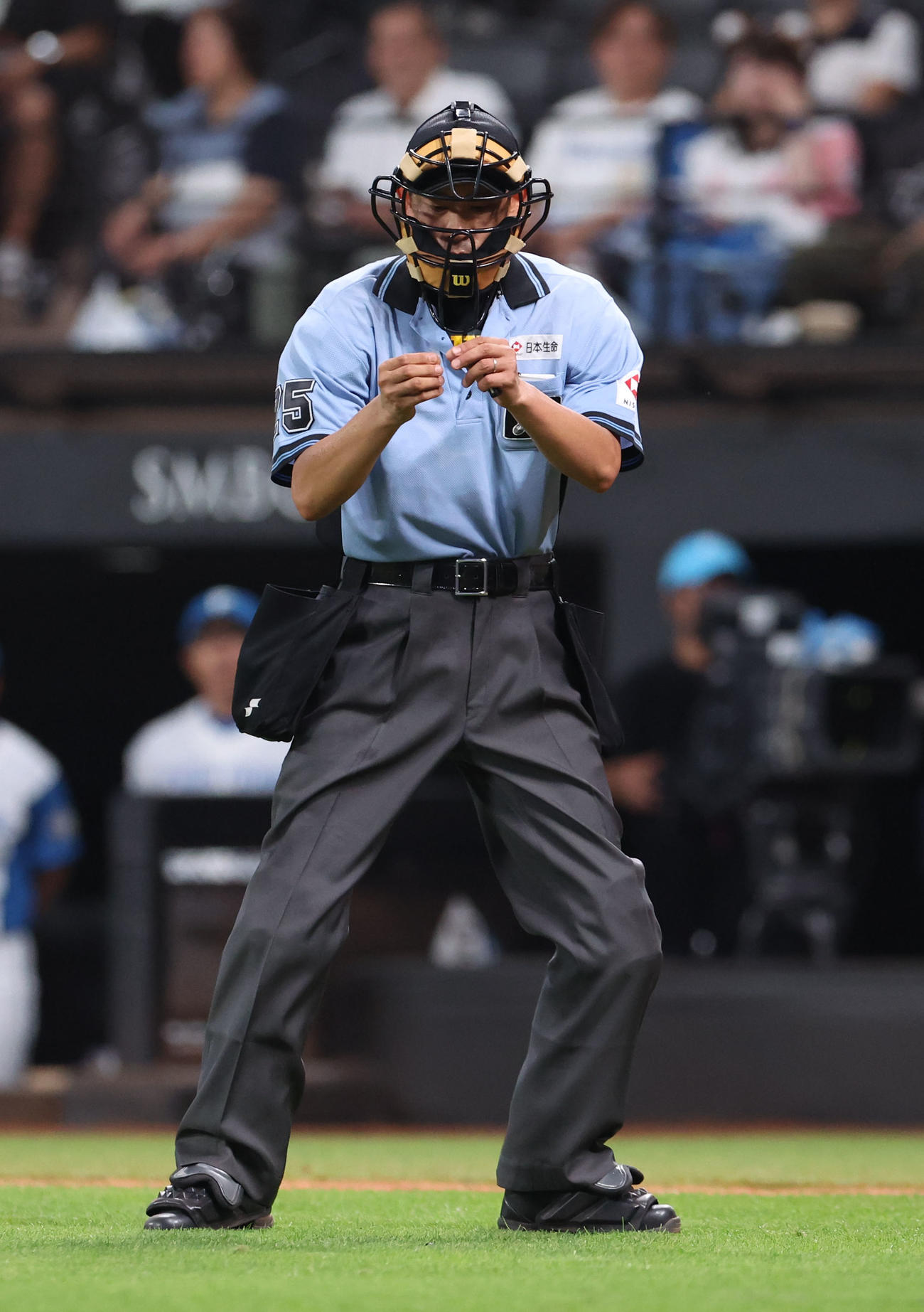 日本ハム対オリックス　7回表オリックス無死、綿毛をつかまえる球審（撮影・佐藤翔太）