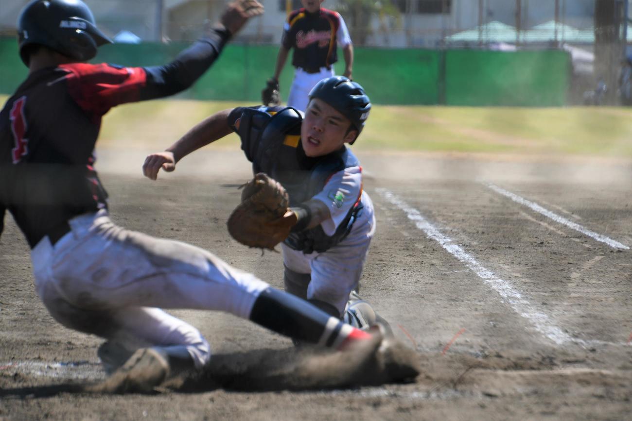 埼玉SPの櫻井湊捕手はダイビングタッチを試みたがかわされた
