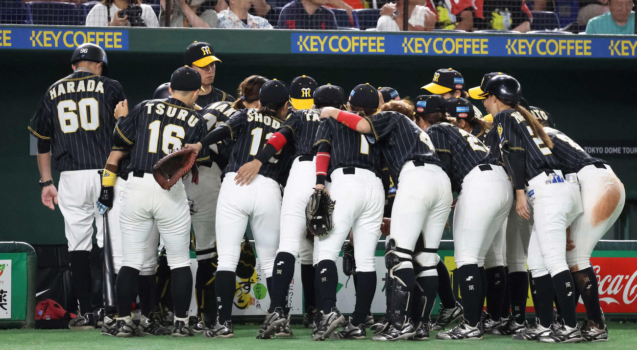 女子野球交流戦　巨人対阪神　6回の攻撃を前に円陣を組む阪神（撮影・丹羽敏通）