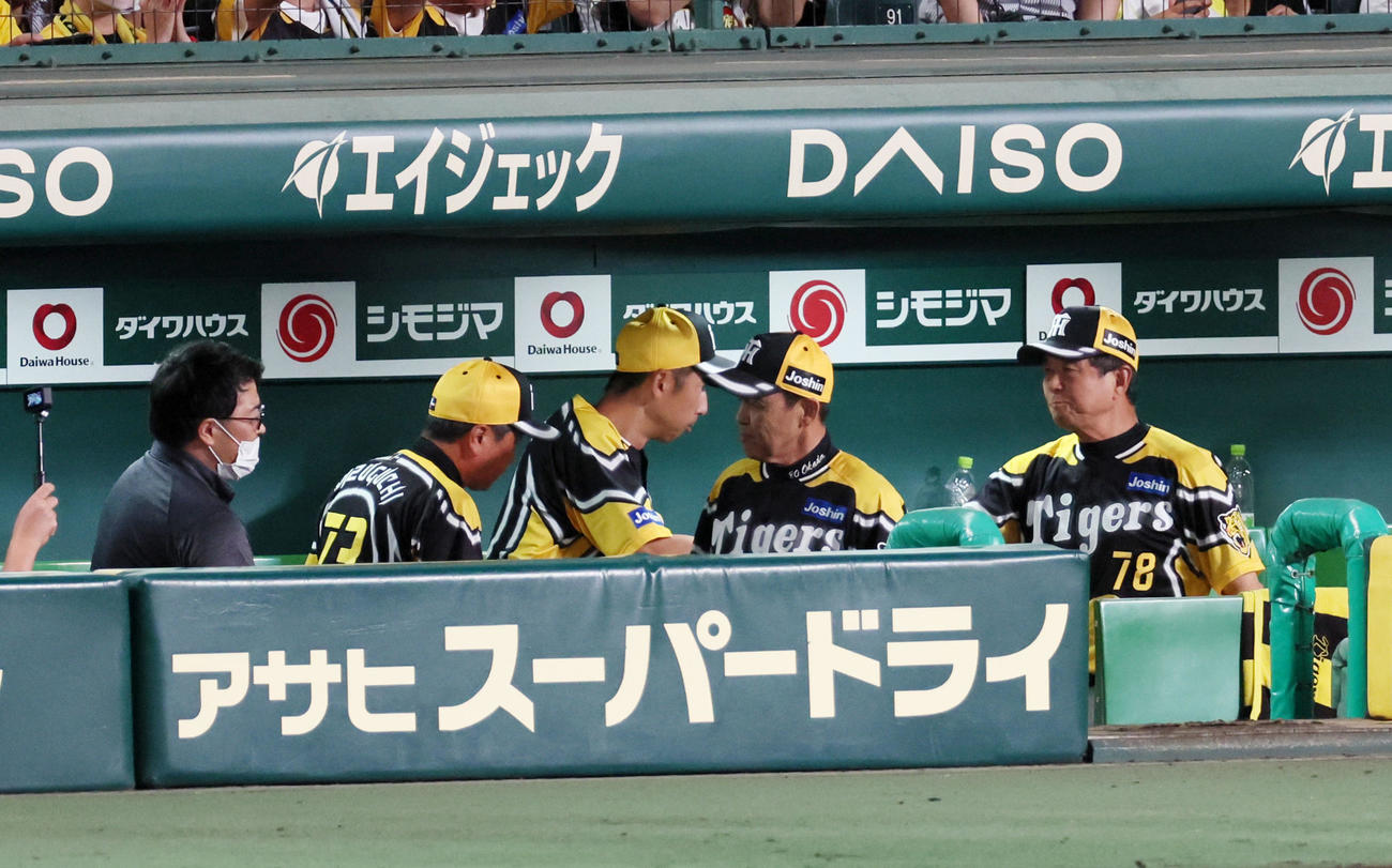阪神対広島　広島に勝利しベンチでコーチ陣と握手する岡田監督（撮影・加藤哉）