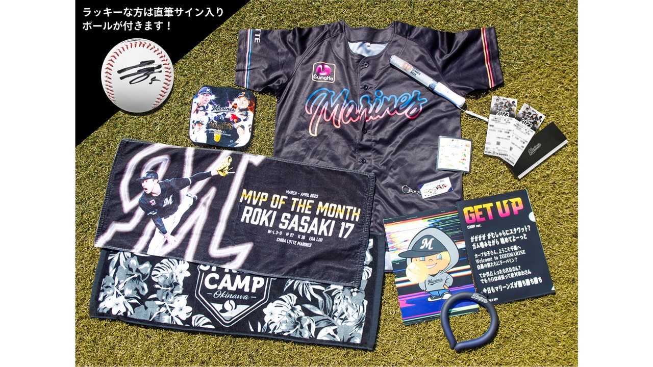 ロッテが販売する楽しみグッズセットの中身（球団提供）