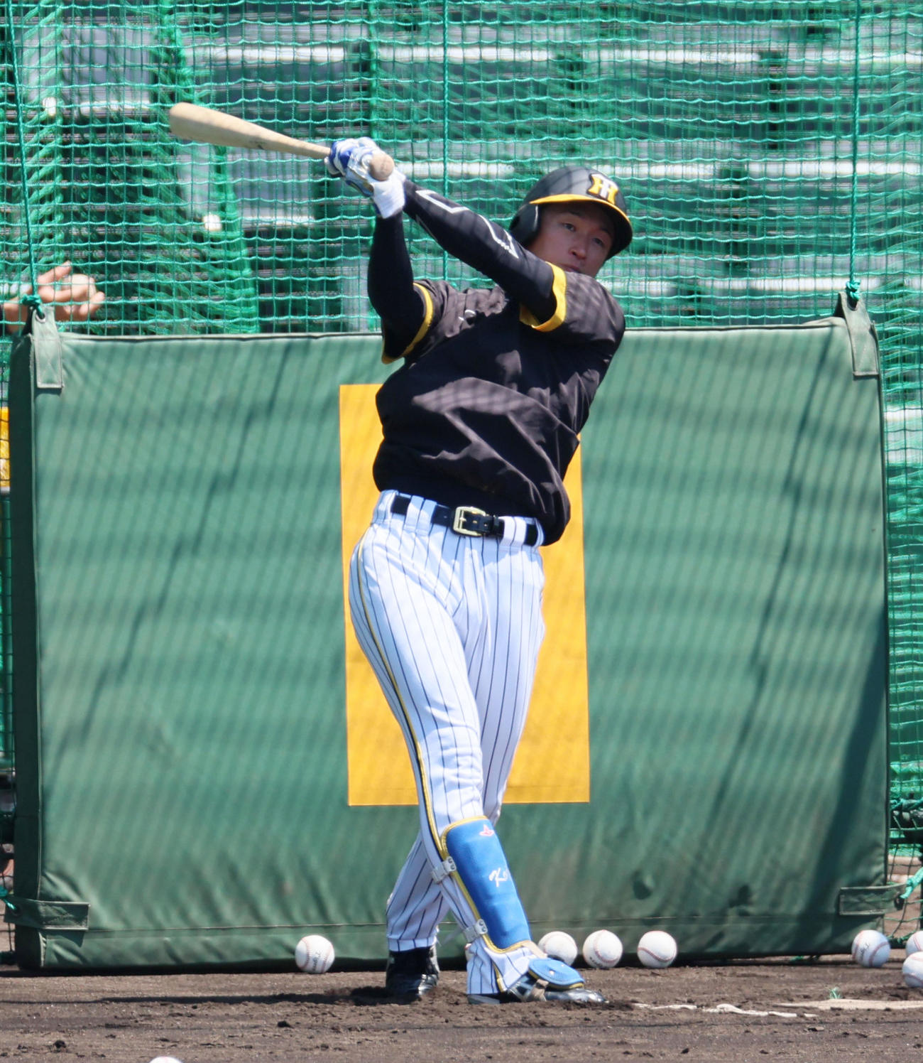 阪神近本光司（2023年7月21日撮影）