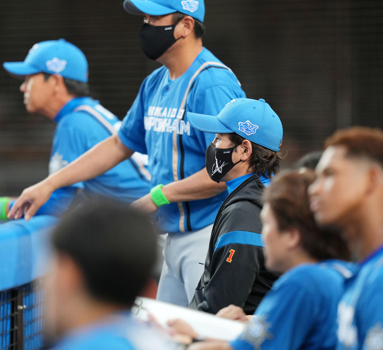 ロッテ対日本ハム　試合を見つめる日本ハム新庄監督（中央）（撮影・横山健太）