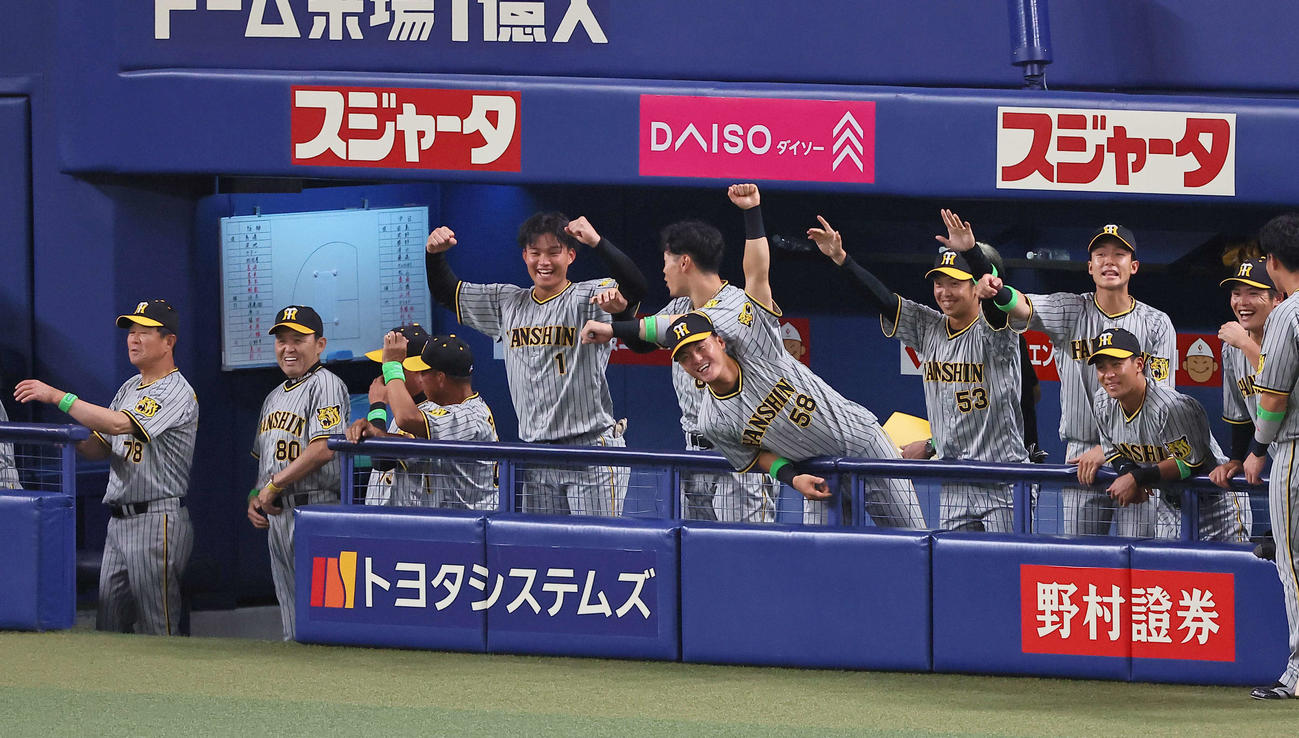 中日対阪神　6回表阪神2死満塁、西純の走者一掃適時二塁打で盛り上がる阪神ベンチ（撮影・上田博志）