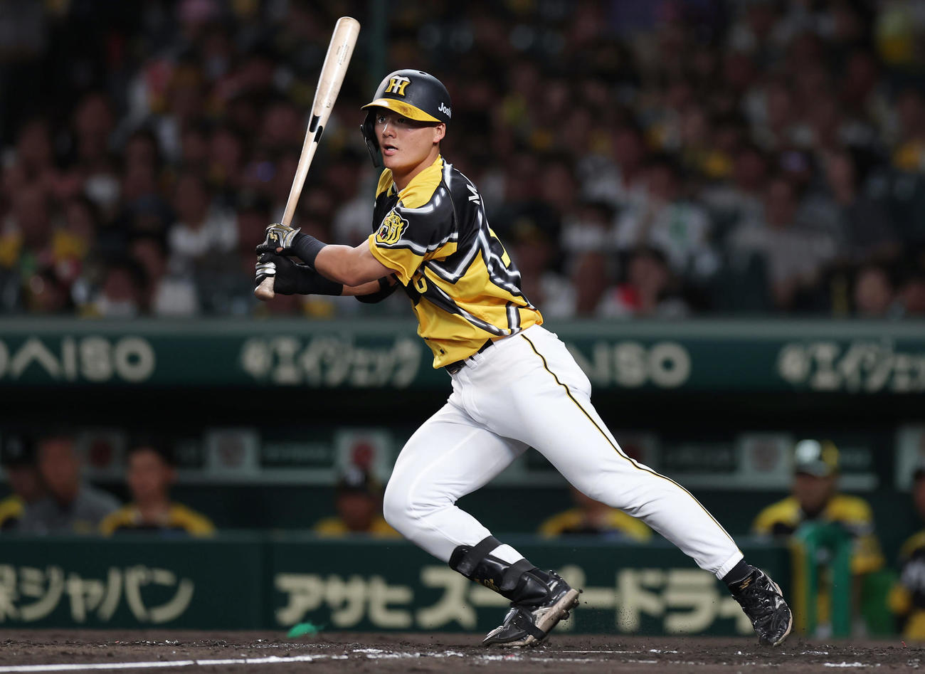 阪神前川右京（2023年7月29日撮影）