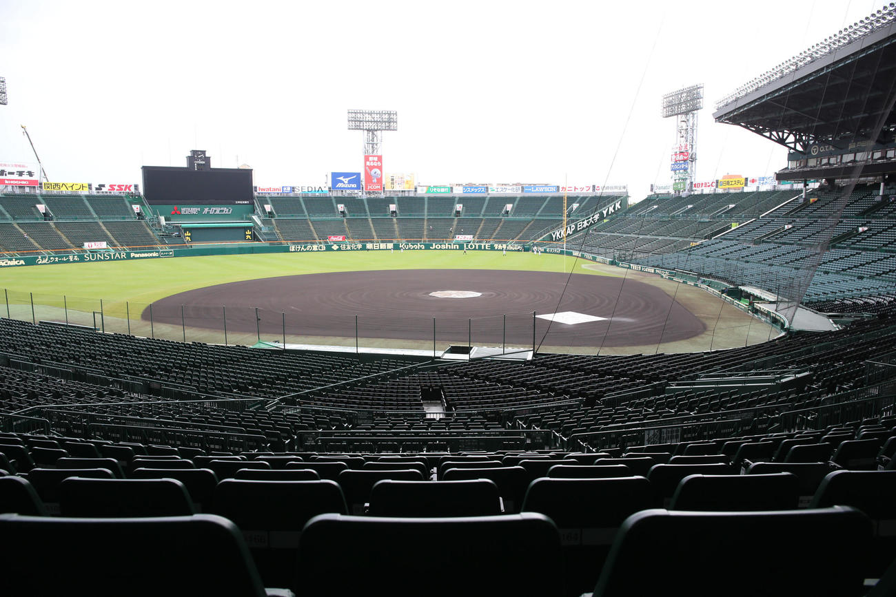 甲子園球場　全景