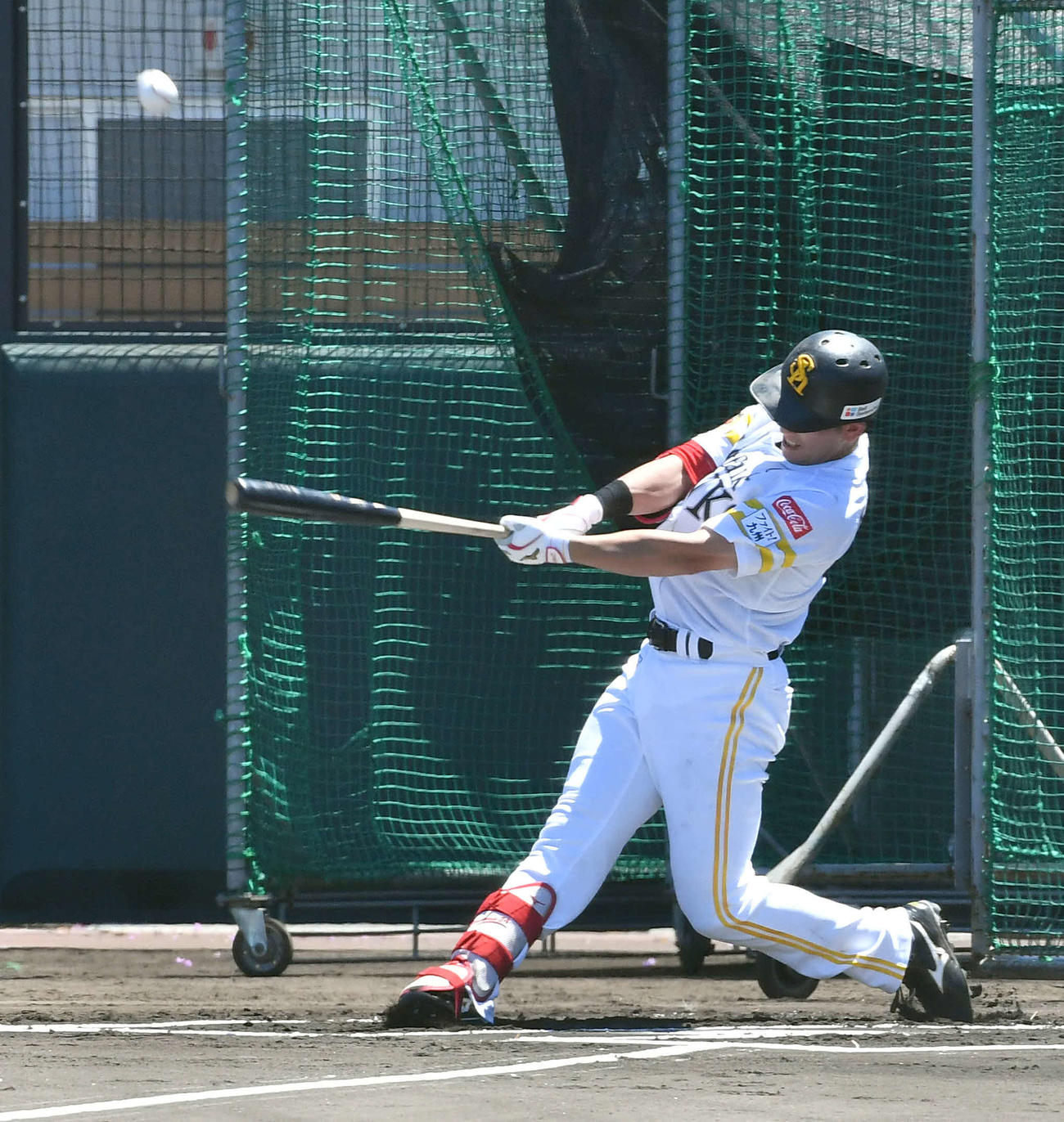 シート打撃で中飛に倒れる栗原（撮影・岩下翔太）
