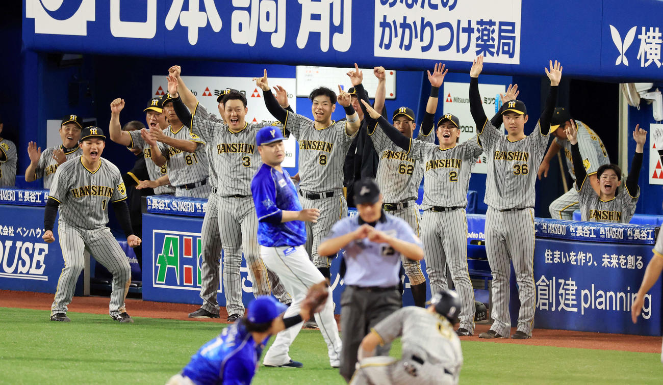 DeNA阪神　8回表阪神2死一、二塁、木浪（手前右）が勝ち越し2点適時二塁打で送球間で三塁進塁し、バンザイで大喜びする阪神の選手たち（撮影・浅見桂子）