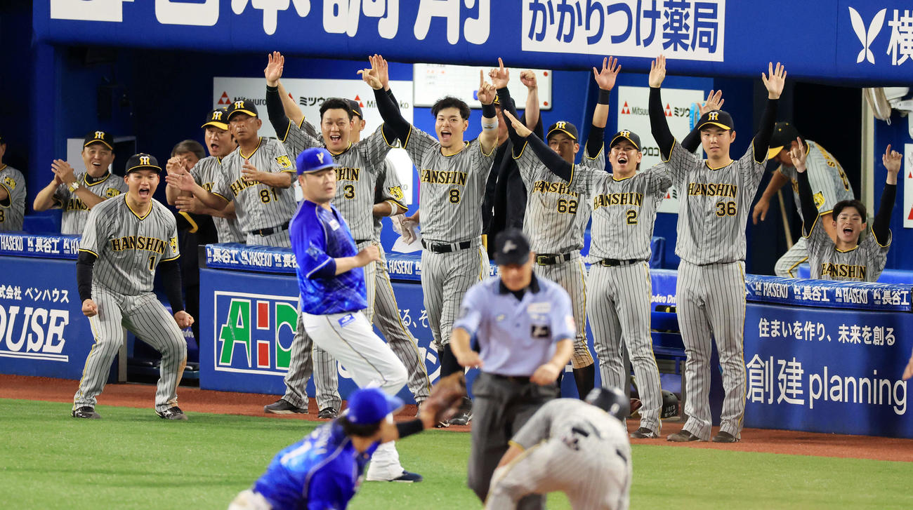 8回表阪神2死一、二塁、2点適時二塁打と相手失策で三塁に進んだ木浪（手前右）に大喜びする阪神の選手たち。左端は岡田監督（撮影・浅見桂子）