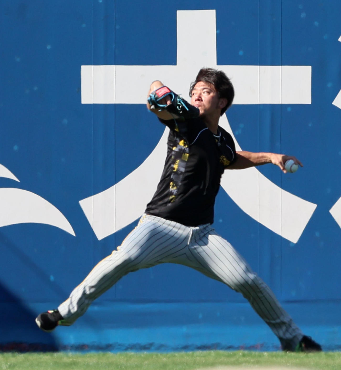 DeNA対阪神　練習でキャッチボールする伊藤将（撮影・加藤哉）