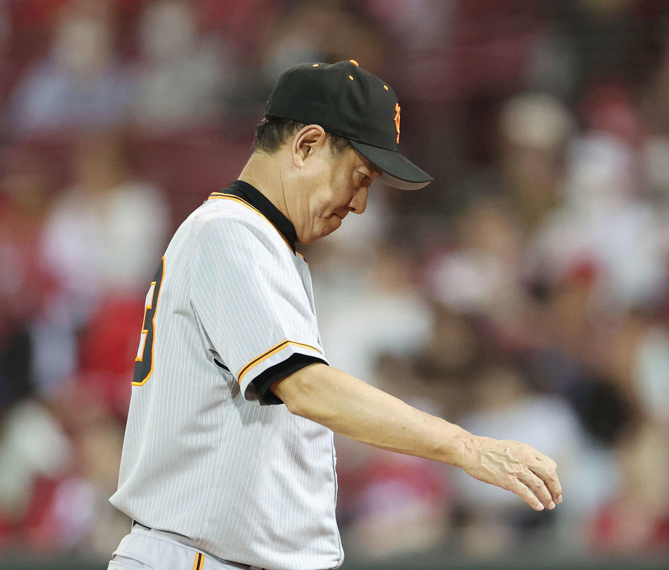 広島対巨人　下を向いてベンチに下がる巨人原監督（撮影・宮地輝）