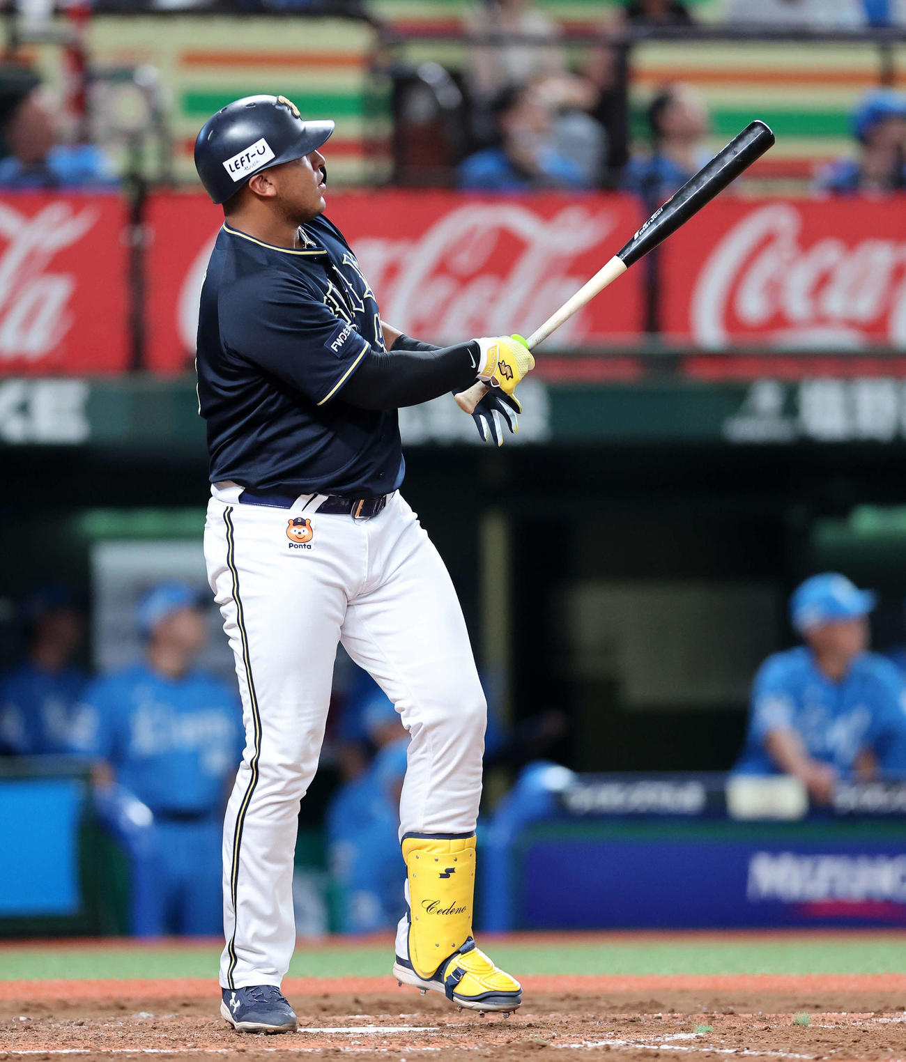 西武対オリックス　4回表オリックス1死一塁、セデーニョは左越え2点本塁打を放つ（撮影・鈴木正人）