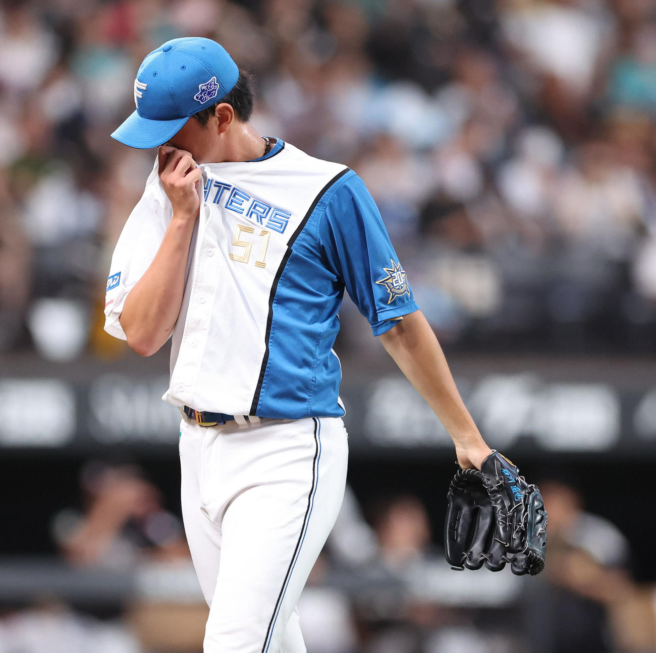 日本ハム対ソフトバンク　追加点を許し汗を拭いながらベンチに戻る日本ハム石川（撮影・佐藤翔太）