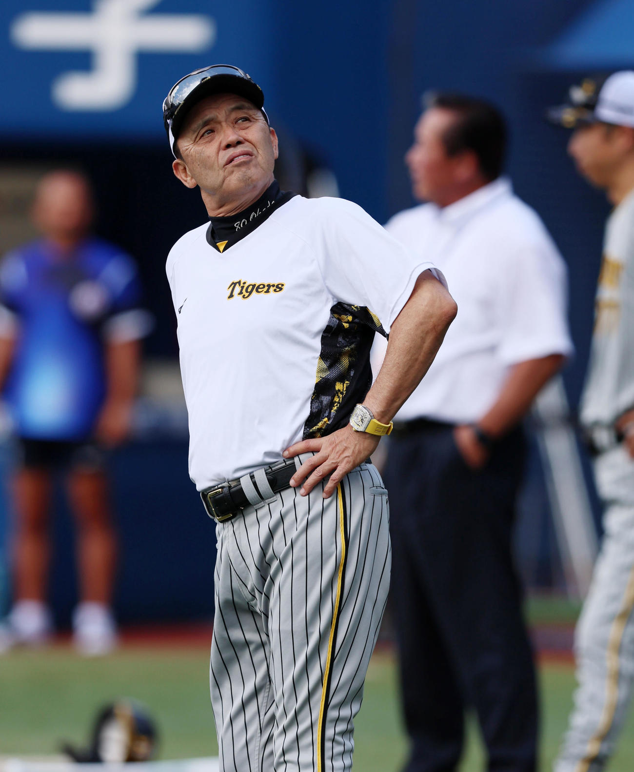 DeNA対阪神　練習中に空模様を見上げる岡田監督（撮影・加藤哉）