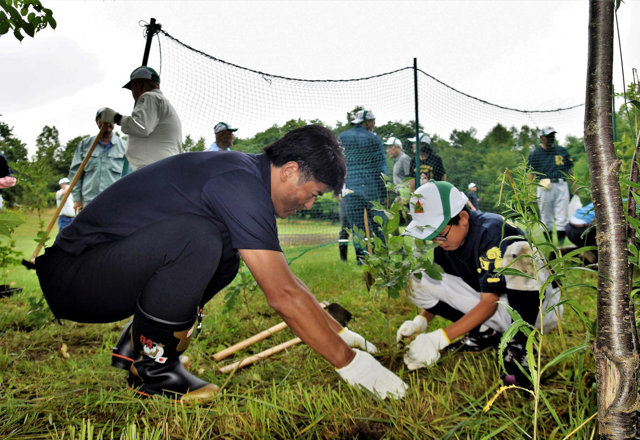 北海道・栗山町にある栗の樹ファームで行われたアオダモの植樹イベントに参加した日本ハム稲葉篤紀GM兼SCO（球団提供）