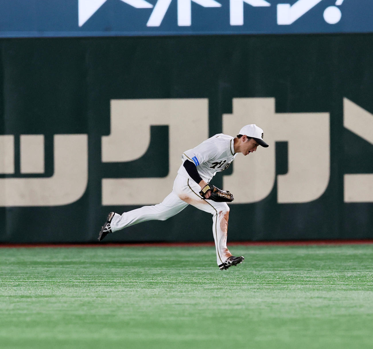 巨人対阪神　2回裏巨人2死二塁、近本は門脇の飛球をランニングキャッチする（撮影・加藤哉）