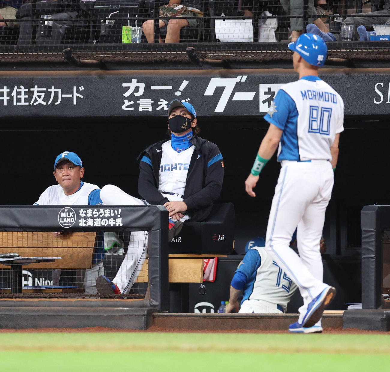 日本ハム対西武　グラウンドを見つめる日本ハム新庄監督（撮影・佐藤翔太）