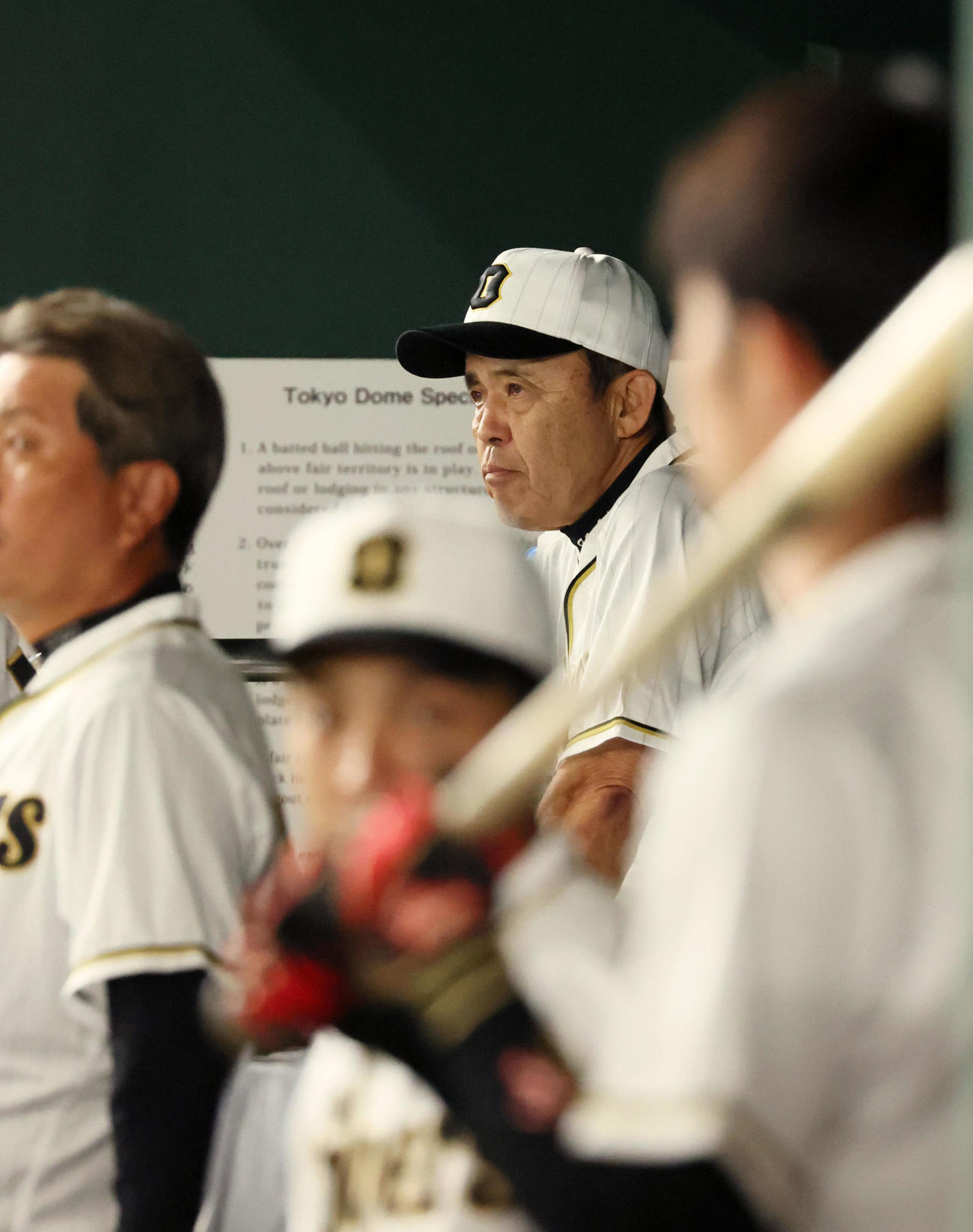 巨人対阪神　ベンチからグラウンドを見つめる岡田監督（撮影・加藤哉）