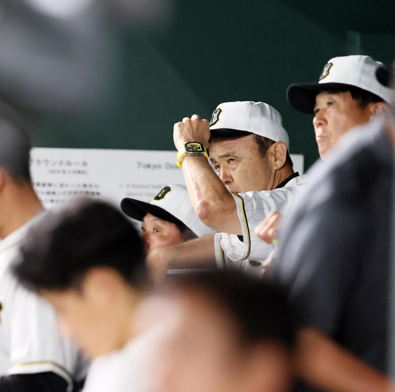 巨人対阪神　7回表、厳しい視線で帽子をかぶり直す岡田監督（撮影・加藤哉）