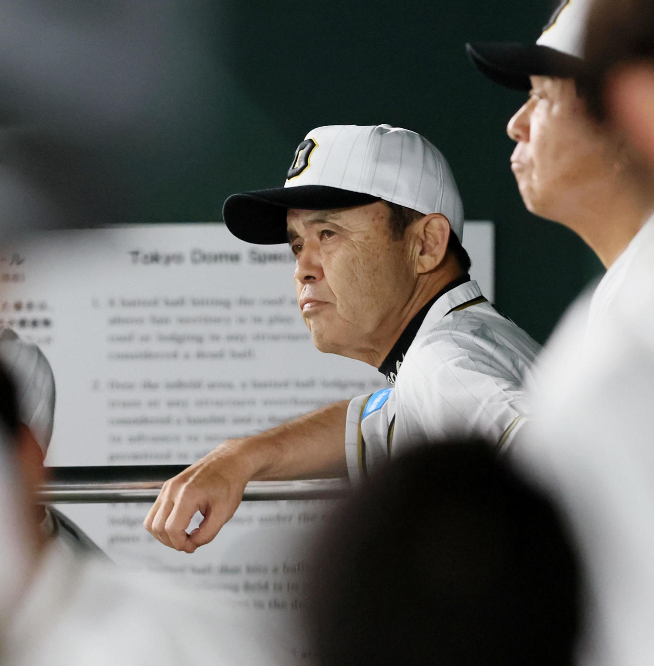 巨人対阪神　7回表、ベンチから試合展開を見守る岡田監督（撮影・加藤哉）