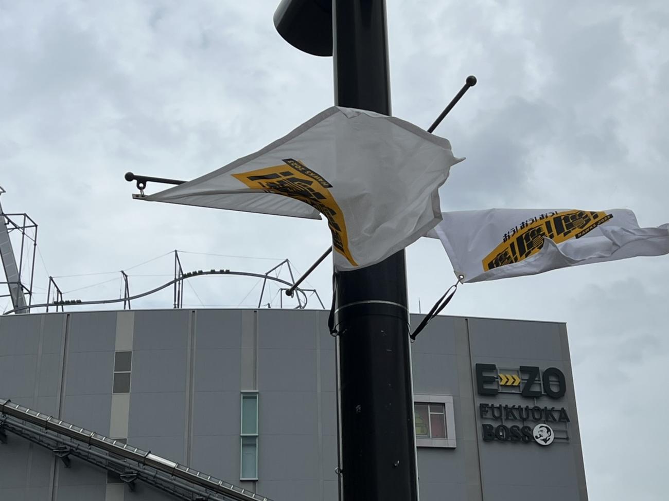 台風の影響でソフトバンク対楽天の試合が中止となった福岡ペイペイドーム（撮影・梅根麻紀）
