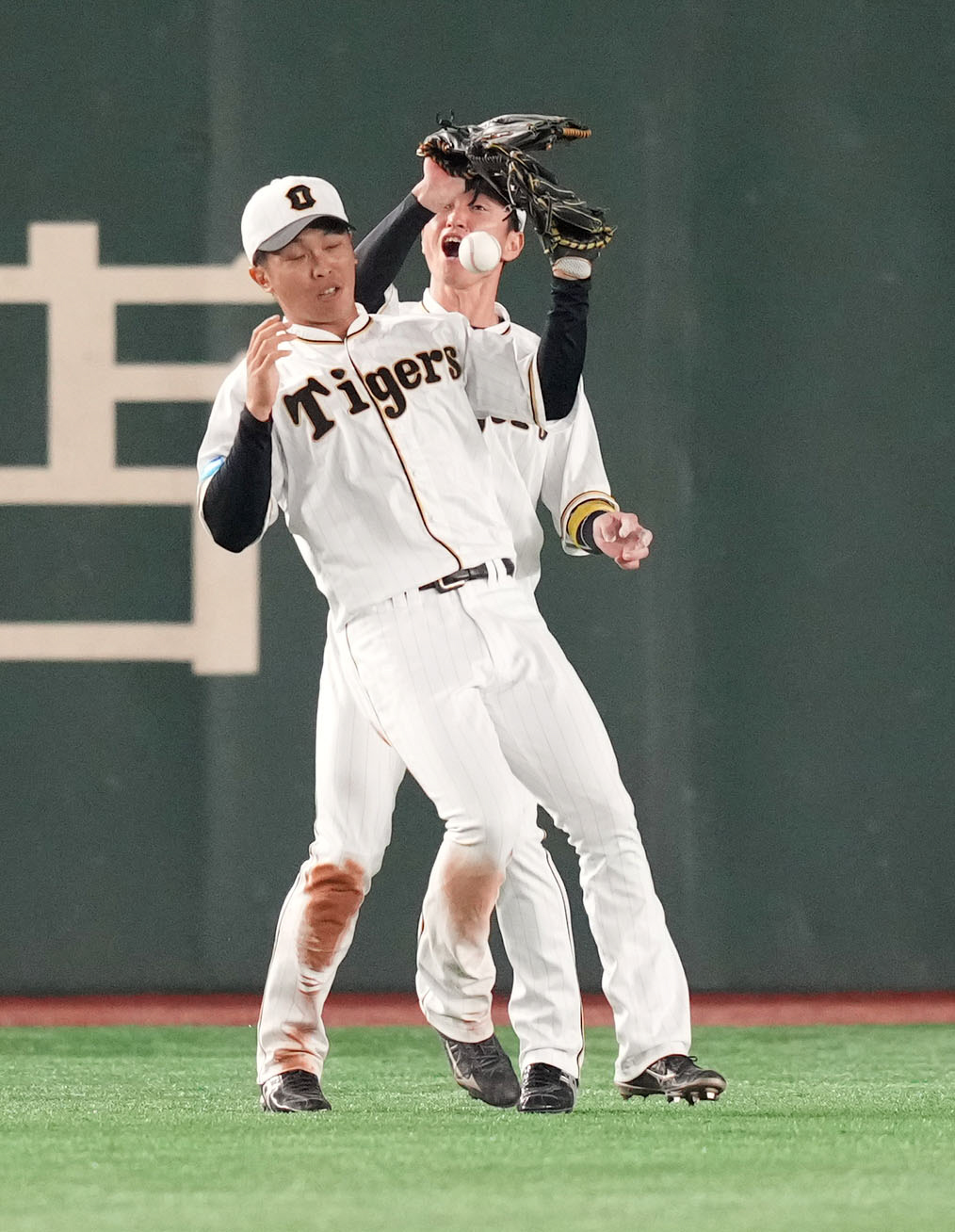 巨人対阪神　7回裏巨人2死、ブリンソンの打球を近本（右）と重なり、落球する島田（撮影・狩俣裕三）