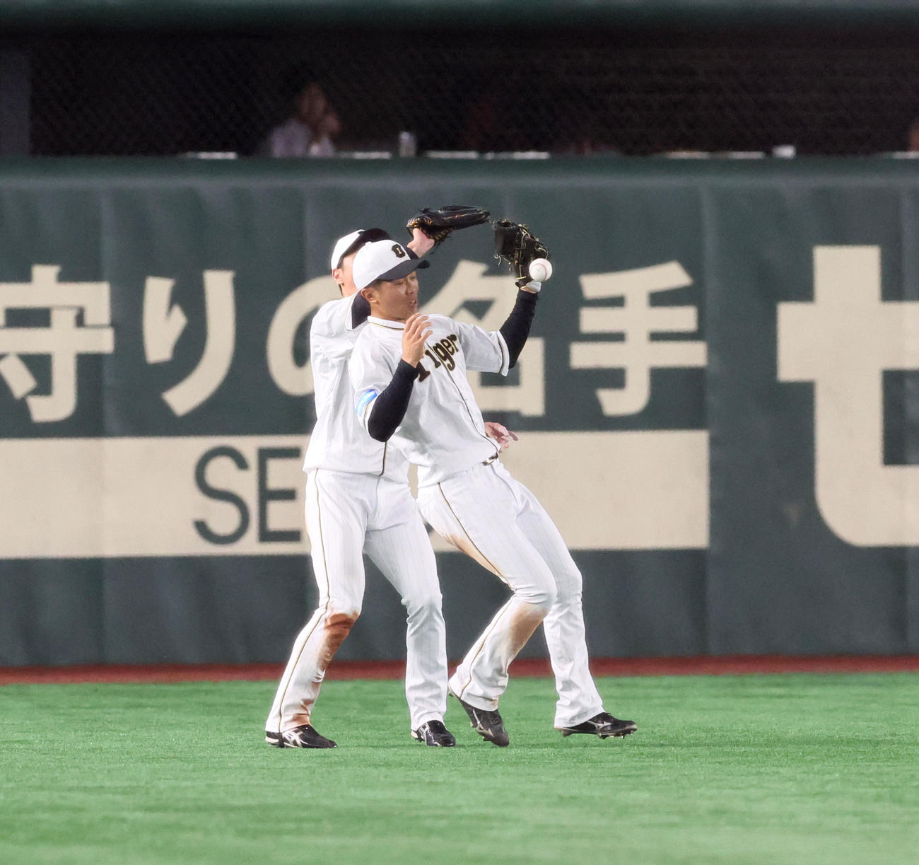 巨人対阪神　7回裏巨人2死、島田はブリンソンの飛球を落球。左は近本（撮影・加藤哉）