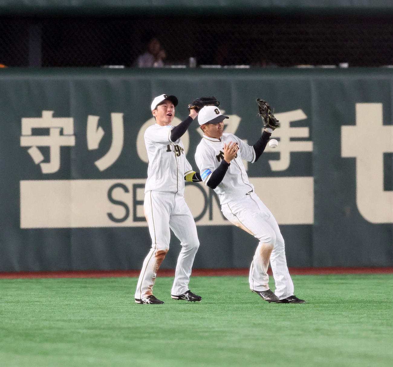 巨人対阪神　7回裏巨人2死、島田はブリンソンの飛球を落球。左は近本（撮影・加藤哉）