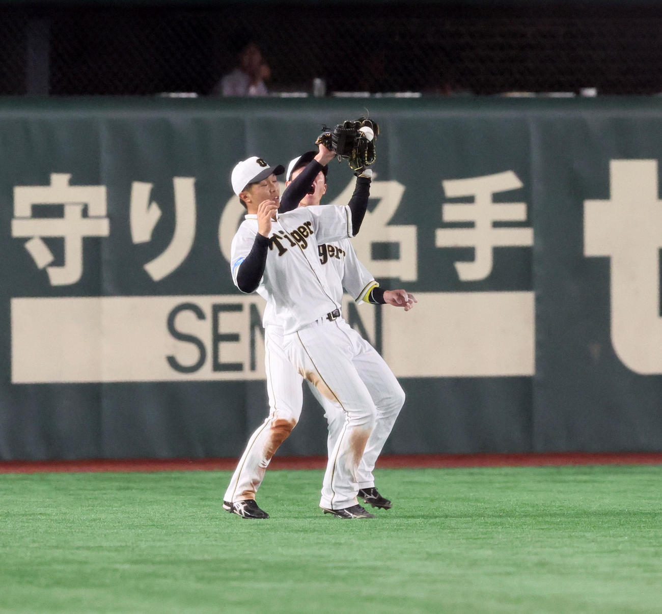 巨人対阪神　7回裏巨人2死、島田はブリンソンの飛球を落球。右は近本（撮影・加藤哉）