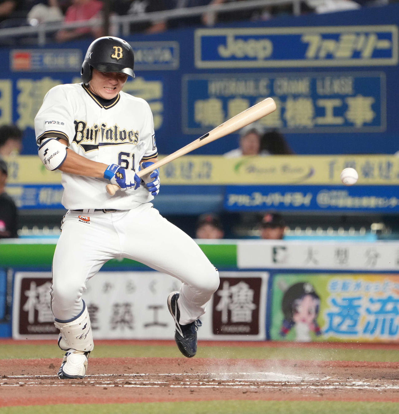 ロッテ対オリックス　3回表オリックス2死、茶野は左足に死球を受ける（撮影・小沢裕）