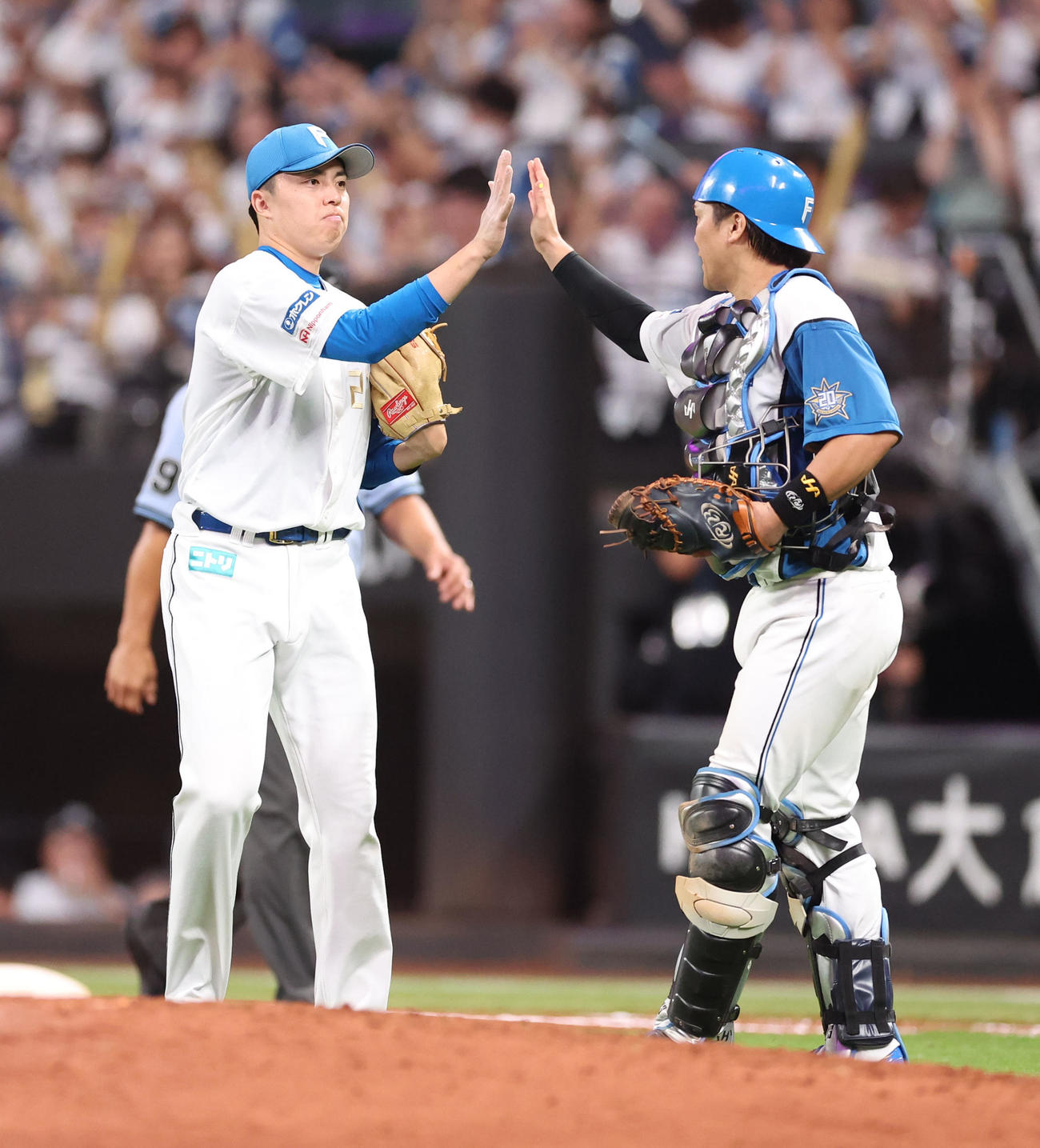 日本ハム対西武　試合終了後、タッチをする日本ハム田中正（左）と伏見（撮影・佐藤翔太）