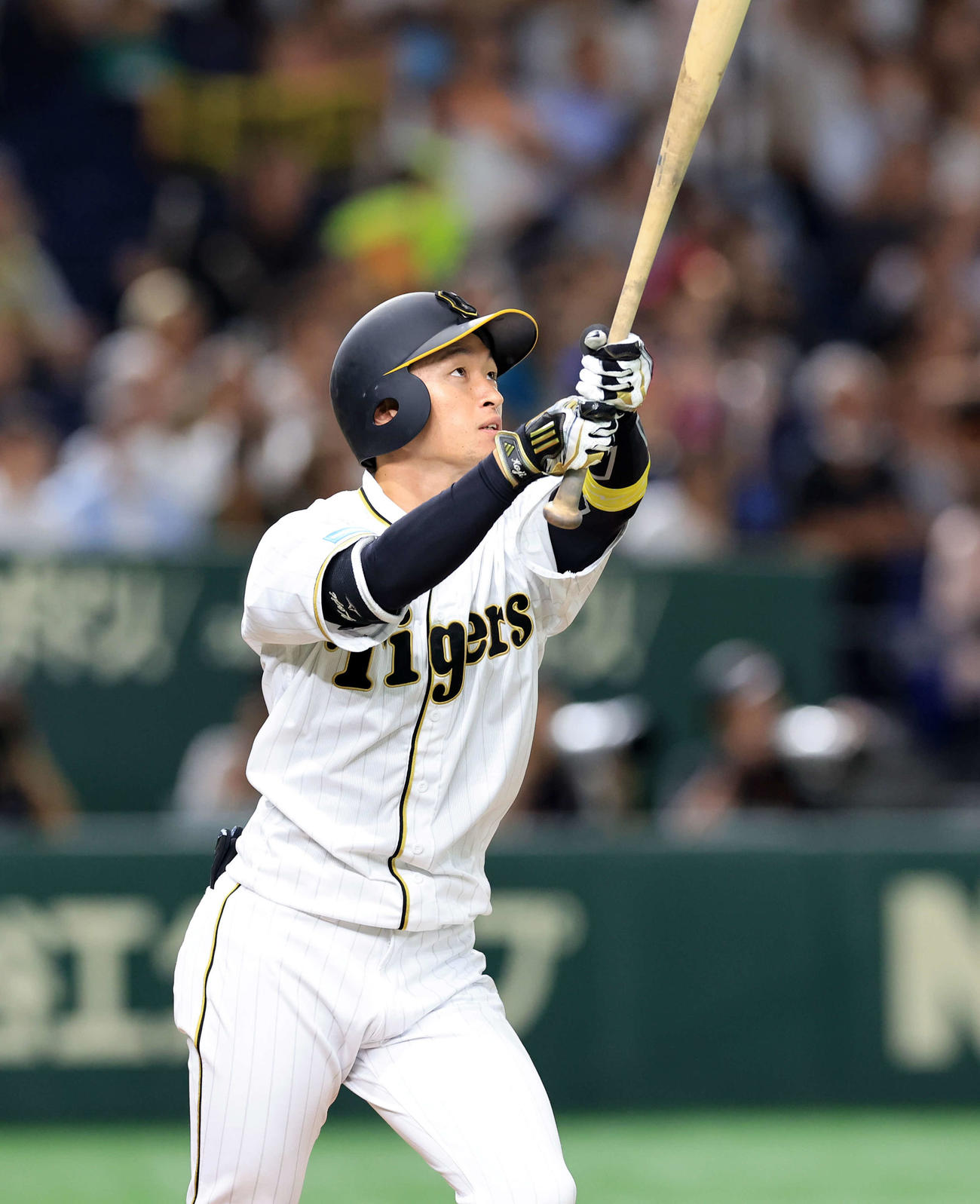 巨人対阪神　7回表阪神2死一塁、近本は右越え勝ち越し2点本塁打を放つ（撮影・浅見桂子）