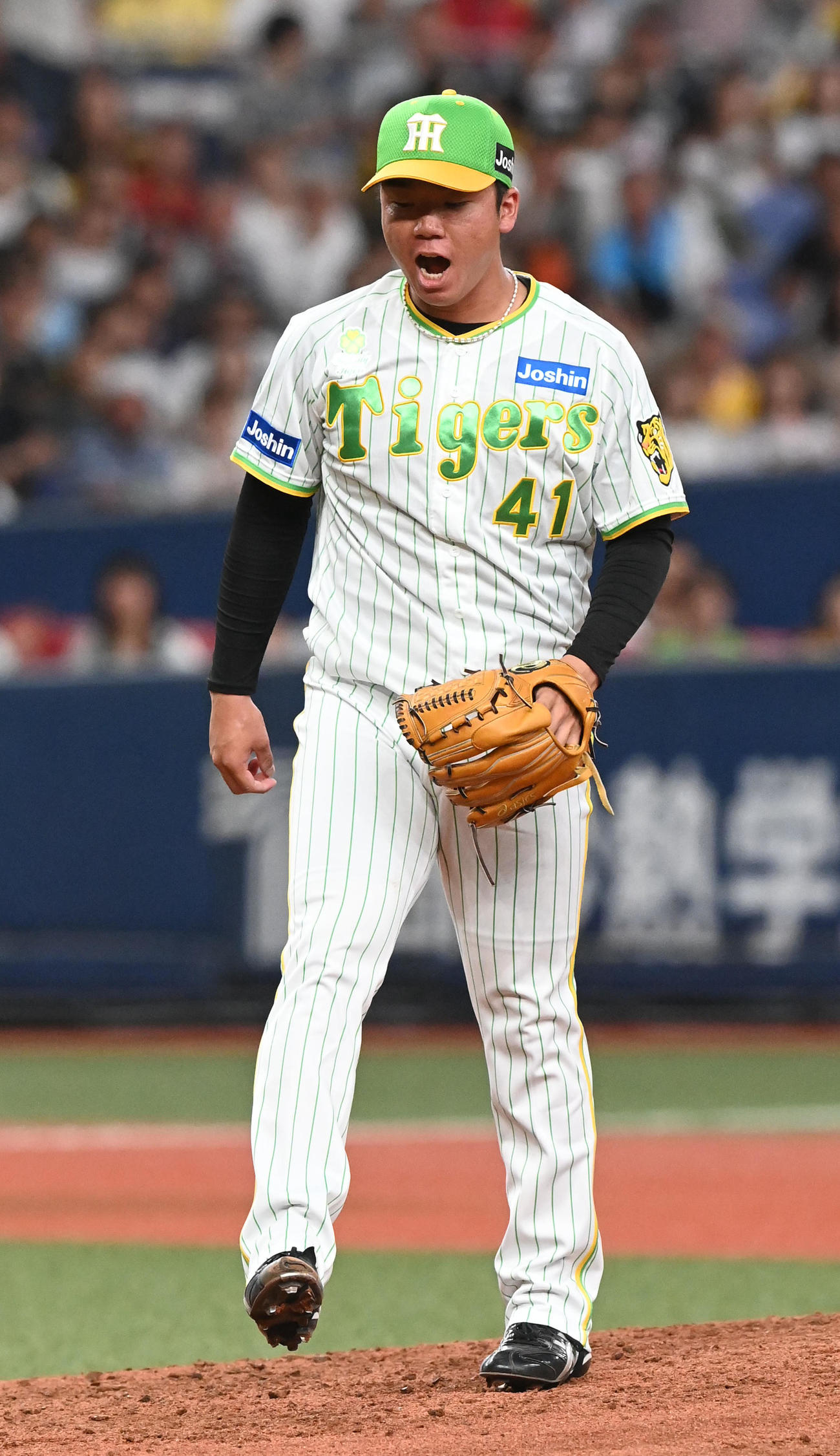 阪神対ヤクルト　5回表ヤクルト2死一塁、長岡を空振り三振に打ち取りほえる村上（撮影・前岡正明）