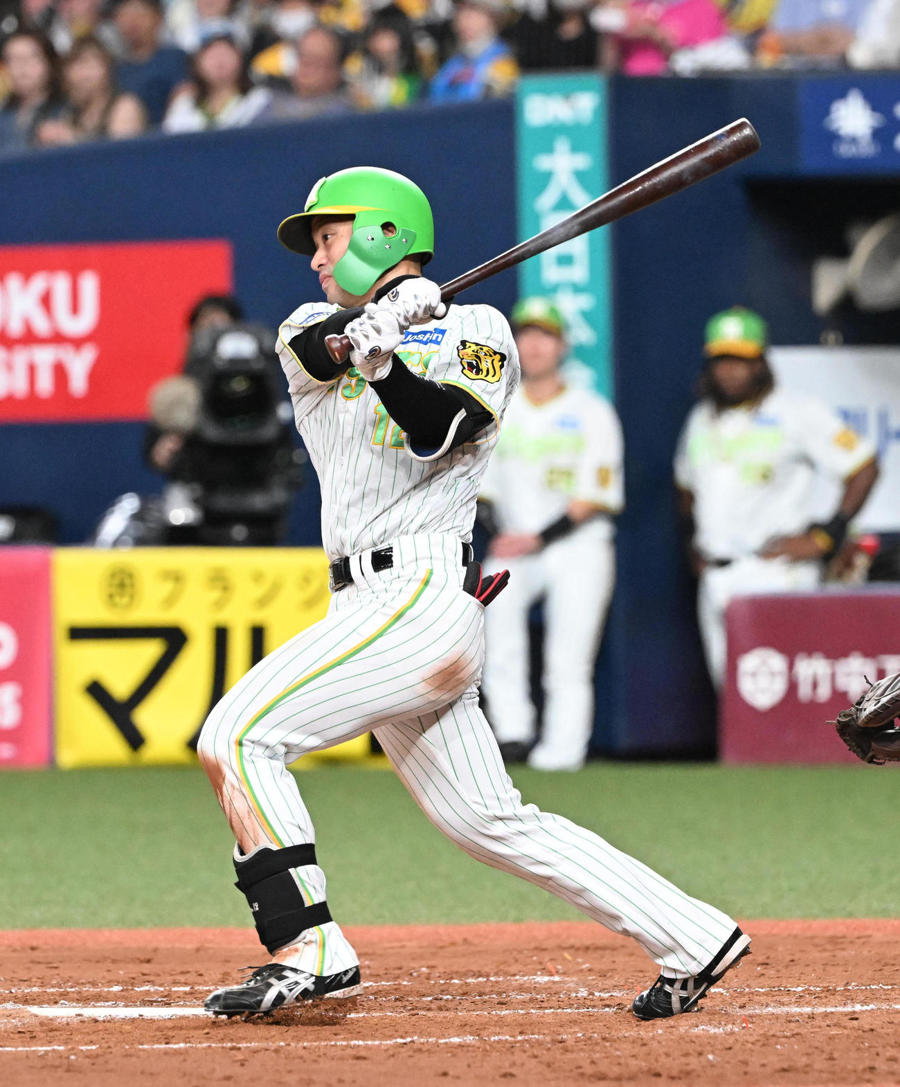 阪神対ヤクルト　3回裏阪神1死一塁、左前打を放つ坂本（撮影・和賀正仁）
