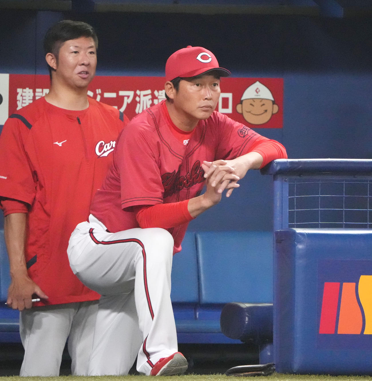 中日対広島　8回表広島1死、ベンチから試合を見つめる新井監督（右）（撮影・森本幸一）