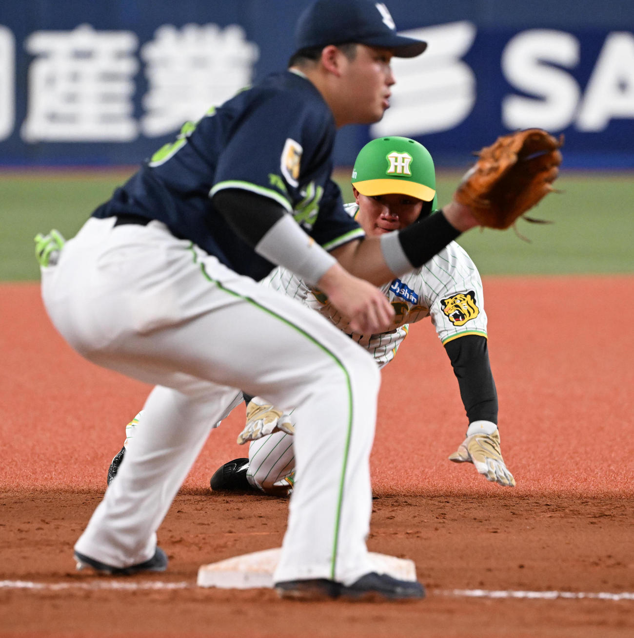 阪神対ヤクルト　3回裏阪神2死一、二塁、打者ノイジーの時、捕手がはじいた間に三塁を狙った二塁走者森下だがタッチアウトとなる、野手村上（撮影・和賀正仁）
