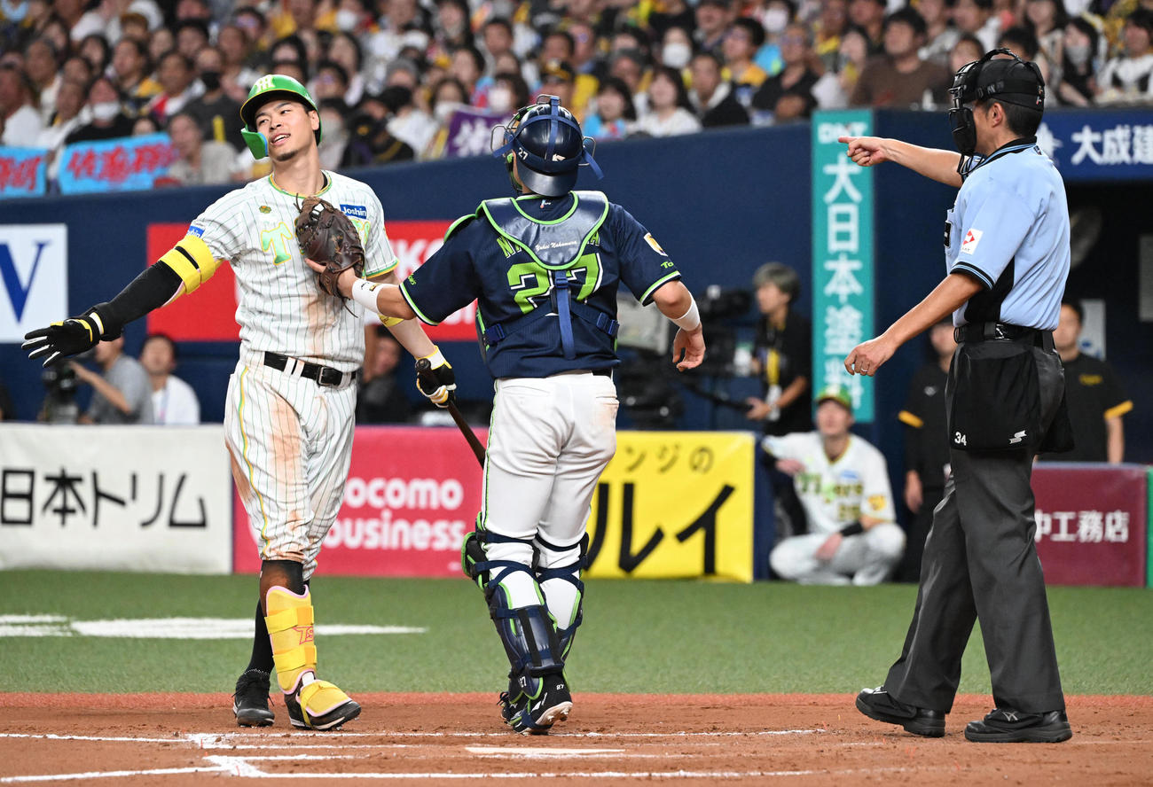 阪神対ヤクルト　8回裏阪神無死、ハーフスイングを取られ三振となる佐藤輝（撮影・和賀正仁）