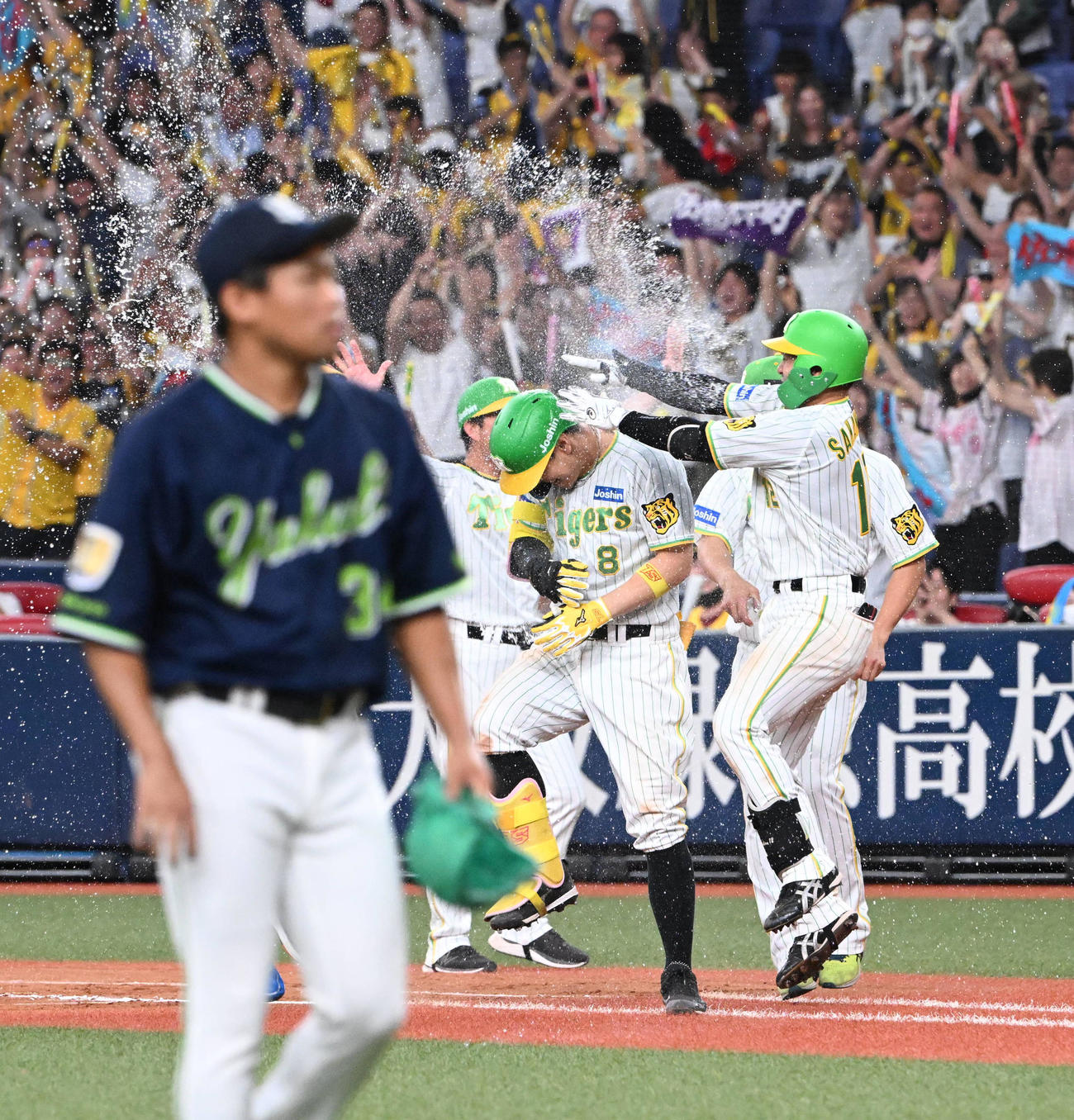 阪神対ヤクルト　12回表無死満塁、サヨナラ中犠飛を放った佐藤輝はナインから歓喜のウオーターシャワーを浴びる、手前は田口（撮影・和賀正仁）