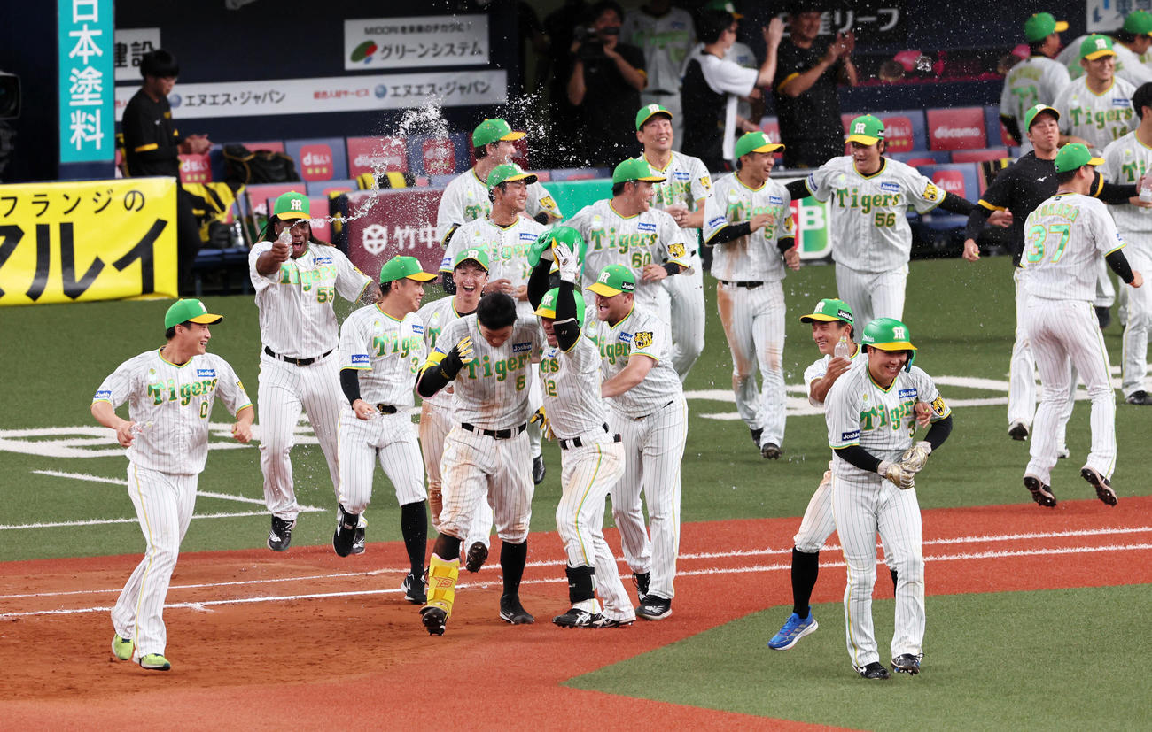 阪神対ヤクルト　12回裏阪神無死満塁、佐藤輝は中飛を打ち上げてサヨナラ犠飛となりナインから水をかけられる（撮影・加藤哉）