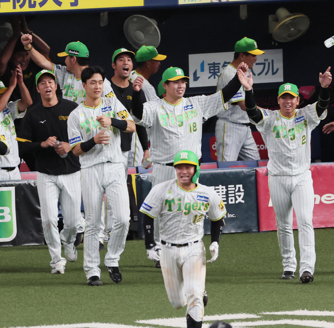 阪神対ヤクルト　佐藤輝のサヨナラ中犠飛にベンチから飛び出して喜ぶ馬場（撮影・加藤哉）