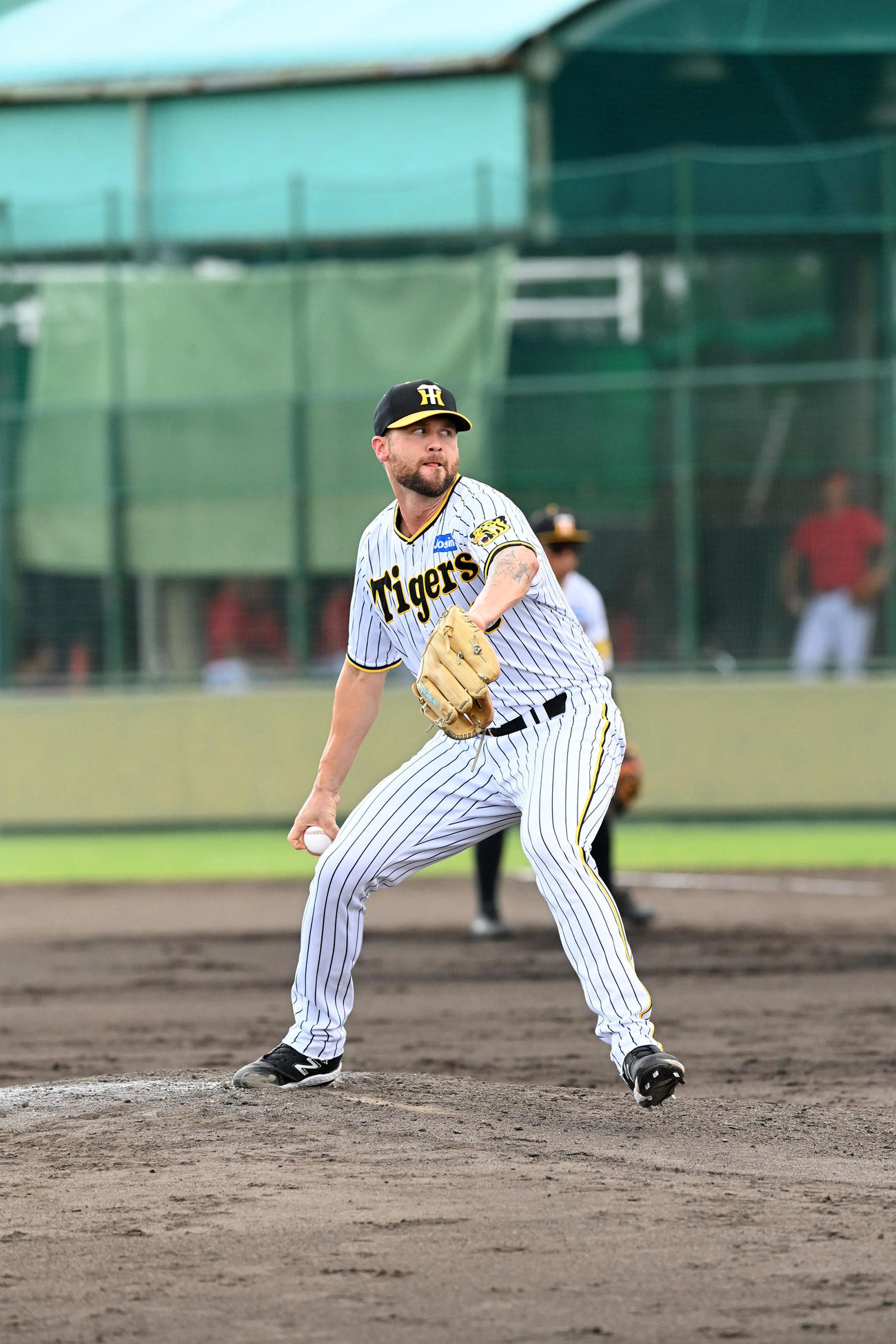 阪神対広島　コルテン・ブルワー連続12ー5（撮影・前岡正明）