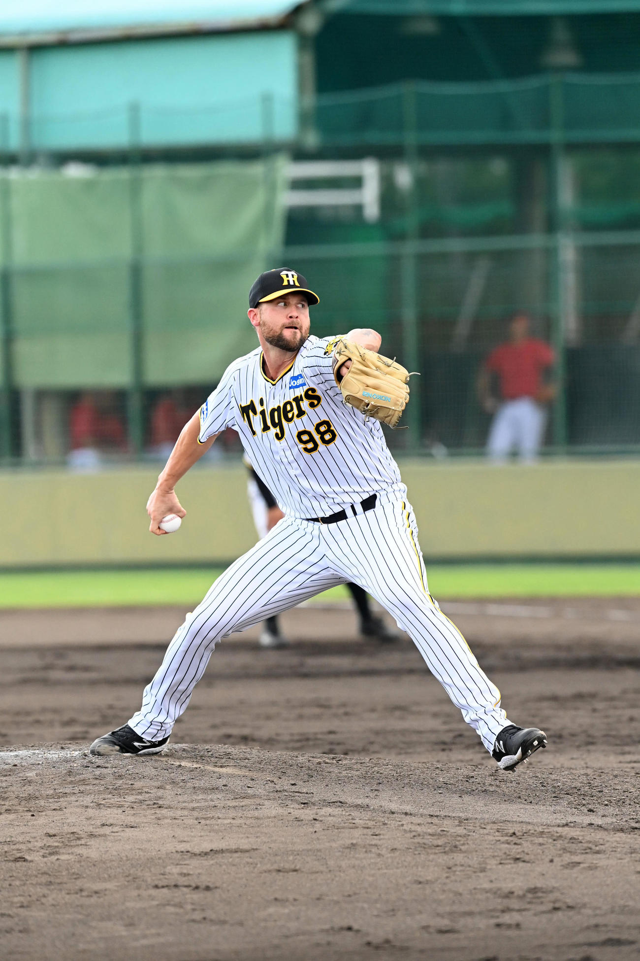 阪神対広島　コルテン・ブルワー連続12ー6（撮影・前岡正明）